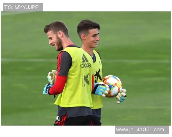 成都足球队在欧锦赛中的团队协作表现分析与点评