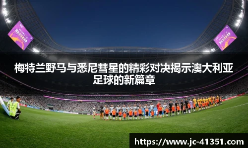 im电竞官网